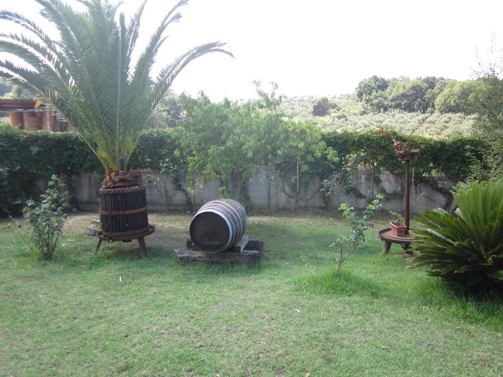 B&B Vaiana Maida Ngoại thất bức ảnh